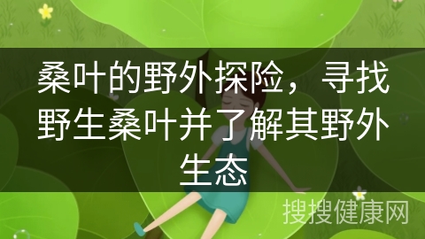 桑叶的野外探险，寻找野生桑叶并了解其野外生态