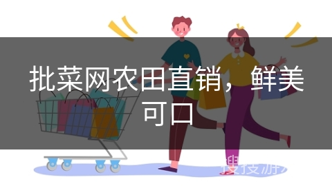 批菜网农田直销，鲜美可口