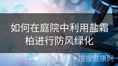 如何在庭院中利用盐霜柏进行防风绿化