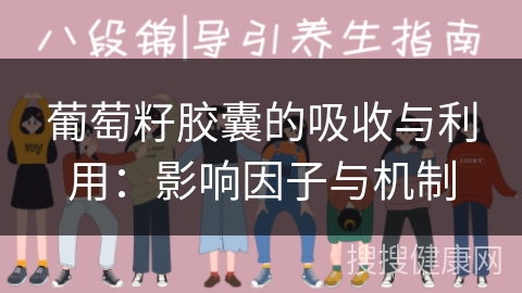 葡萄籽胶囊的吸收与利用：影响因子与机制