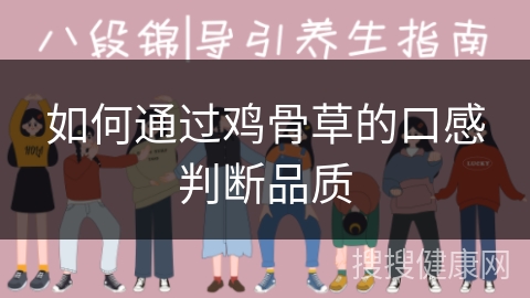 如何通过鸡骨草的口感判断品质