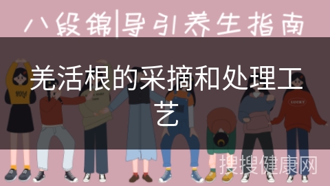 羌活根的采摘和处理工艺