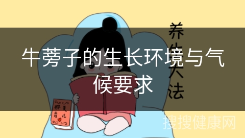 牛蒡子的生长环境与气候要求