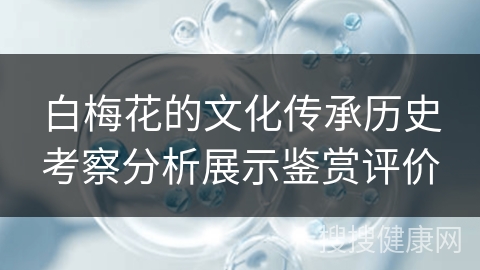 白梅花的文化传承历史考察分析展示鉴赏评价