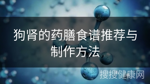 狗肾的药膳食谱推荐与制作方法