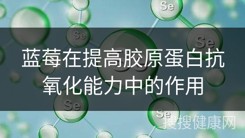 蓝莓在提高胶原蛋白抗氧化能力中的作用