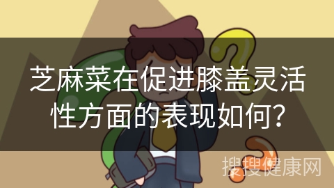 芝麻菜在促进膝盖灵活性方面的表现如何？