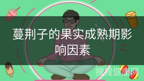 蔓荆子的果实成熟期影响因素