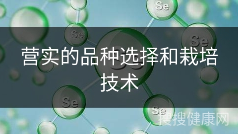 营实的品种选择和栽培技术