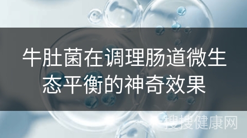 牛肚菌在调理肠道微生态平衡的神奇效果