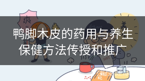 鸭脚木皮的药用与养生保健方法传授和推广