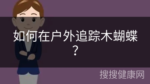 如何在户外追踪木蝴蝶？