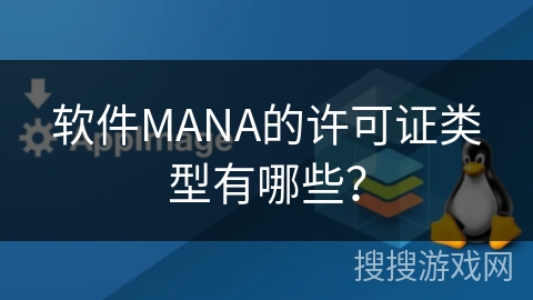软件MANA的许可证类型有哪些？