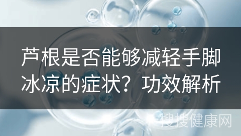 芦根是否能够减轻手脚冰凉的症状？功效解析