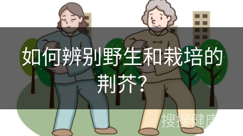 如何辨别野生和栽培的荆芥？