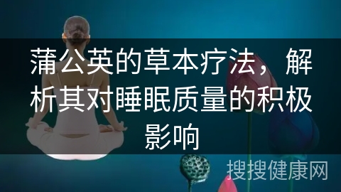 蒲公英的草本疗法，解析其对睡眠质量的积极影响