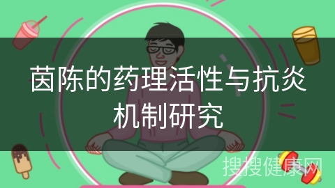 茵陈的药理活性与抗炎机制研究