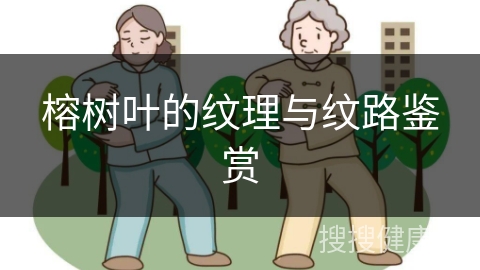 榕树叶的纹理与纹路鉴赏