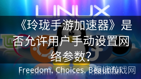 《玲珑手游加速器》是否允许用户手动设置网络参数? 《玲珑手游加速器》是否允许用户手动设置网络参数?