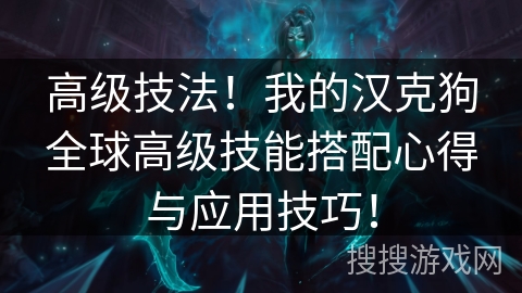 高级技法!我的汉克狗全球高级技能搭配心得与应用技巧! 高级技法!我的汉克狗全球高级技能搭配心得与应用技巧!