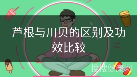 芦根与川贝的区别及功效比较