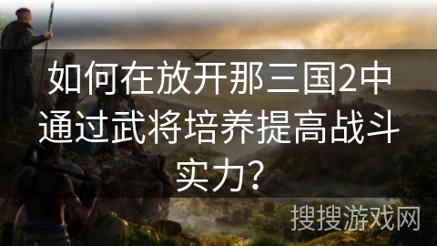 如何在放开那三国2中通过武将培养提高战斗实力? 如何在放开那三国2中通过武将培养提高战斗实力?