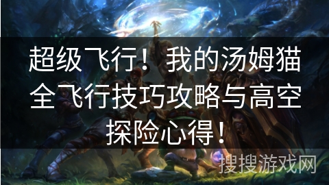 超级飞行!我的汤姆猫全飞行技巧攻略与高空探险心得! 超级飞行!我的汤姆猫全飞行技巧攻略与高空探险心得!