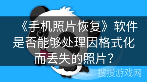 《手机照片恢复》软件是否能够处理因格式化而丢失的照片? 《手机照片恢复》软件是否能够处理因格式化而丢失的照片?
