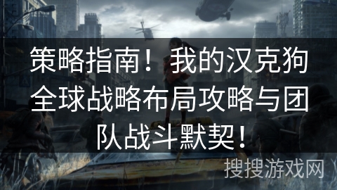 策略指南!我的汉克狗全球战略布局攻略与团队战斗默契! 策略指南!我的汉克狗全球战略布局攻略与团队战斗默契!