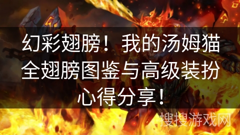 幻彩翅膀!我的汤姆猫全翅膀图鉴与高级装扮心得分享! 幻彩翅膀!我的汤姆猫全翅膀图鉴与高级装扮心得分享!