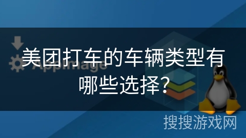 美团打车的车辆类型有哪些选择？