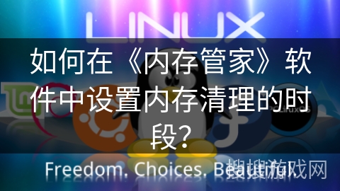 如何在《内存管家》软件中设置内存清理的时段？