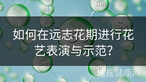 如何在远志花期进行花艺表演与示范？