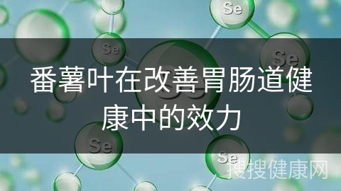 番薯叶在改善胃肠道健康中的效力