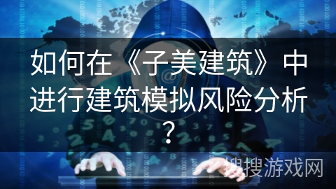 如何在《子美建筑》中进行建筑模拟风险分析？