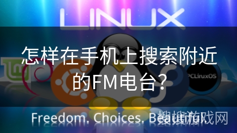 怎样在手机上搜索附近的FM电台? 怎样在手机上搜索附近的FM电台?