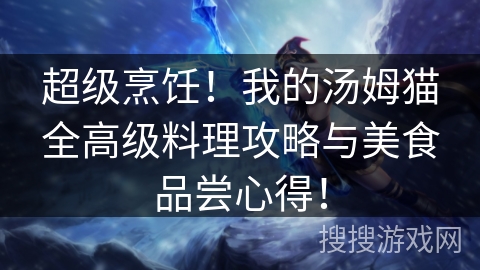 超级烹饪！我的汤姆猫全高级料理攻略与美食品尝心得！