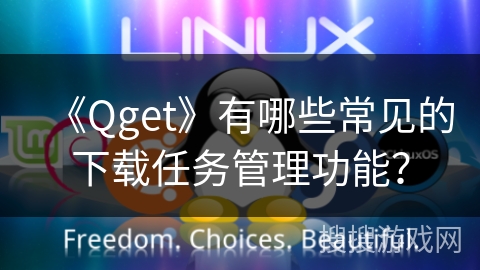 《Qget》有哪些常见的下载任务管理功能？