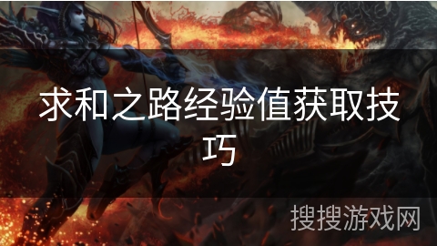 求和之路经验值获取技巧