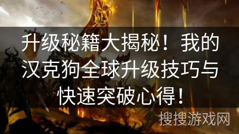 升级秘籍大揭秘!我的汉克狗全球升级技巧与快速突破心得! 升级秘籍大揭秘!我的汉克狗全球升级技巧与快速突破心得!