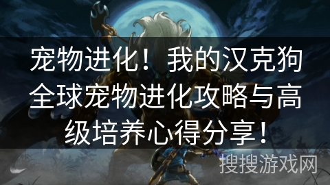 宠物进化！我的汉克狗全球宠物进化攻略与高级培养心得分享！
