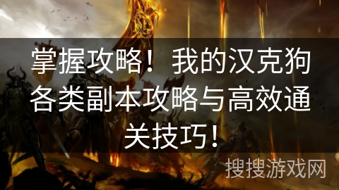 掌握攻略！我的汉克狗各类副本攻略与高效通关技巧！