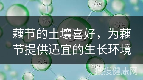 藕节的土壤喜好，为藕节提供适宜的生长环境