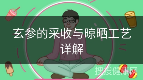 玄参的采收与晾晒工艺详解