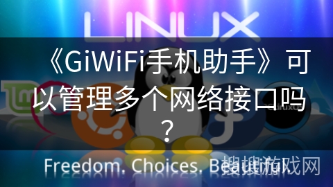 《GiWiFi手机助手》可以管理多个网络接口吗？