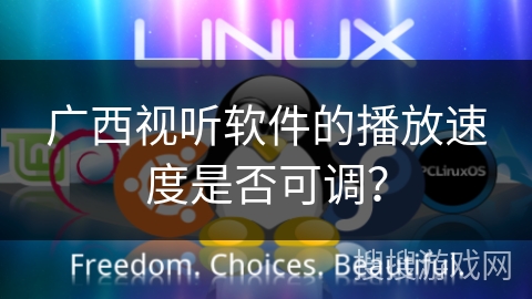 广西视听软件的播放速度是否可调？