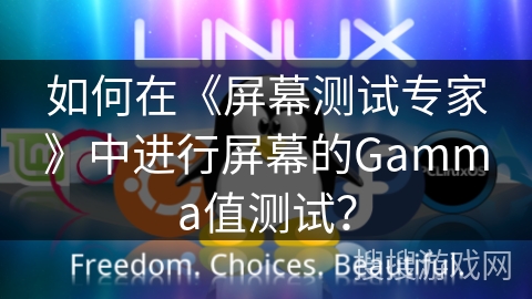 如何在《屏幕测试专家》中进行屏幕的Gamma值测试？