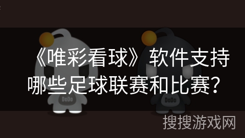 《唯彩看球》软件支持哪些足球联赛和比赛？