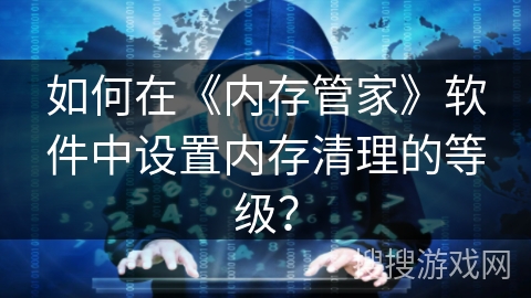 如何在《内存管家》软件中设置内存清理的等级？