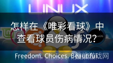 怎样在《唯彩看球》中查看球员伤病情况？